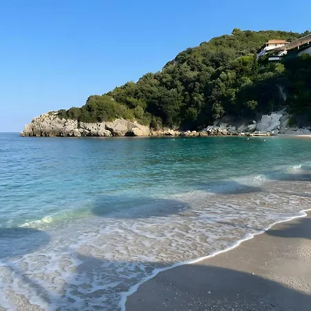 게스트하우스 Alex Bar